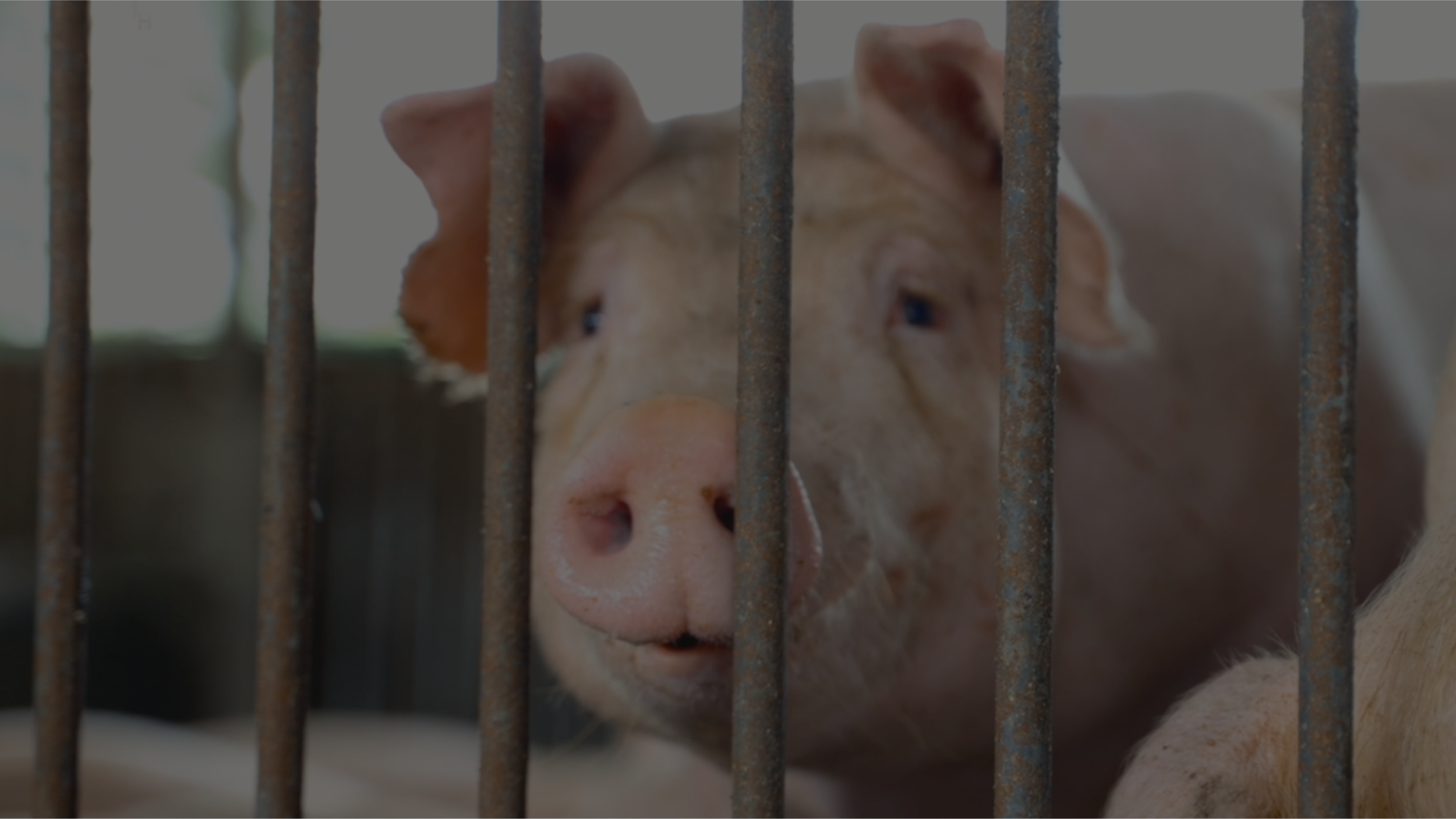 Administration method video thumbnail